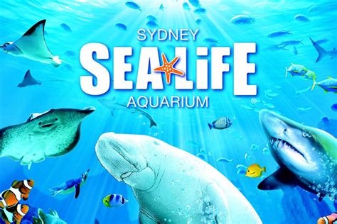 sea life sydney aquarium tickets price