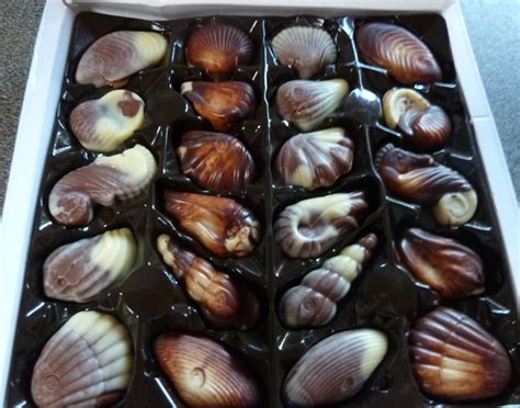 sea shell shaped chocolates