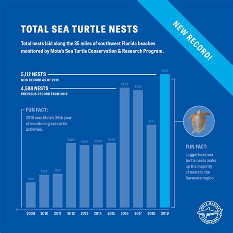 Sea Turtle Stats