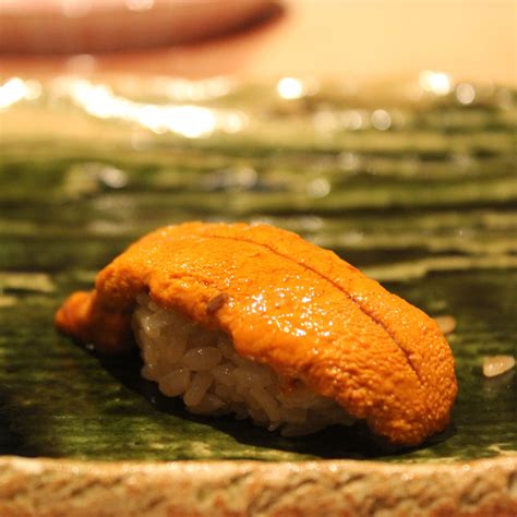 sea urchin sushi