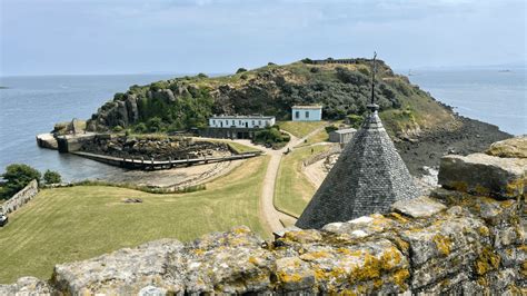 seabirds Inchcolm Island