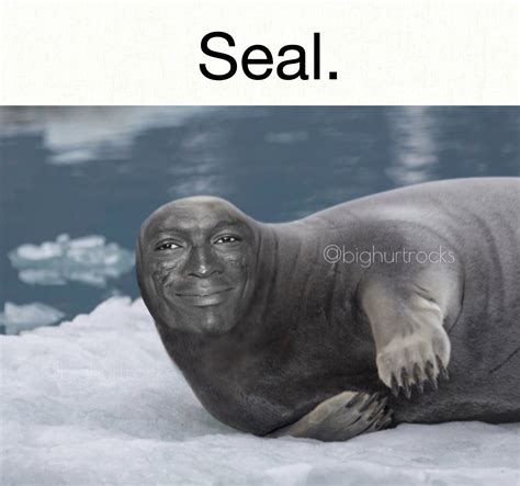 Seal Meme