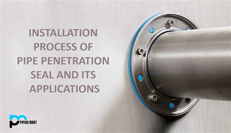 Seal Wall Definition