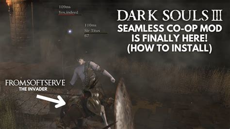 seamless coop ds3