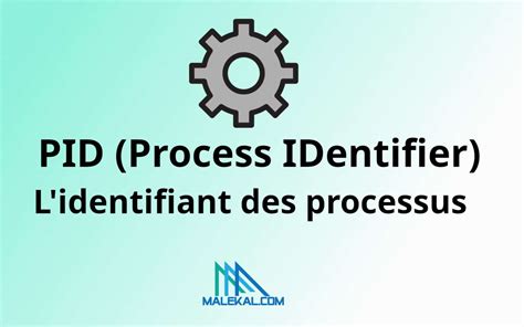 Search A Process By Pid