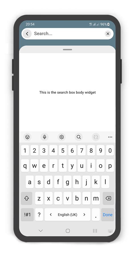 Search Box Flutter