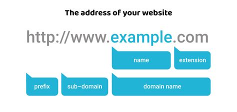 search for web domains