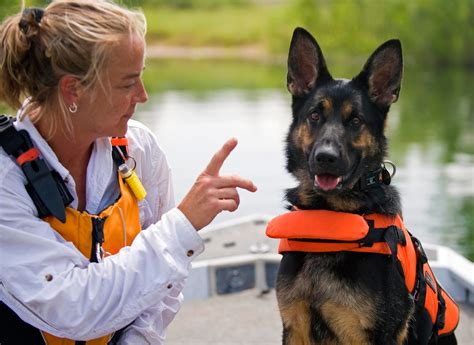 search rescue dog training