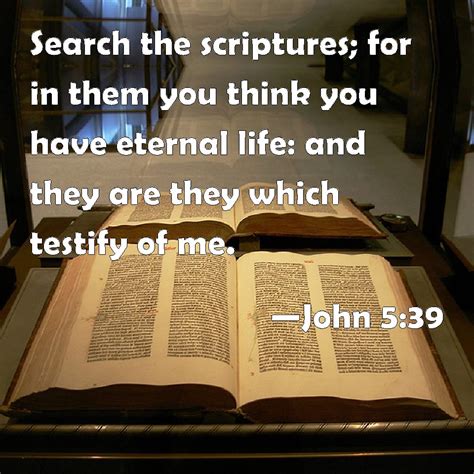 search the scriptures kjv