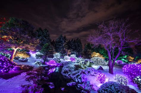 Seasons Botanic Garden in Winter