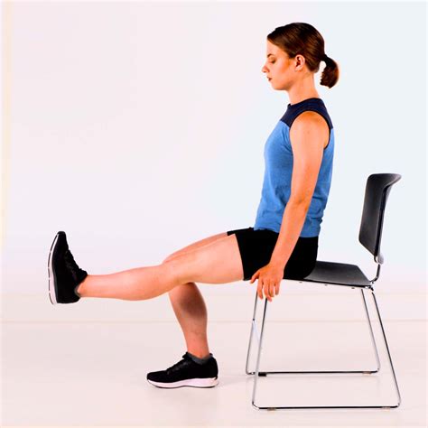seated knee extension
