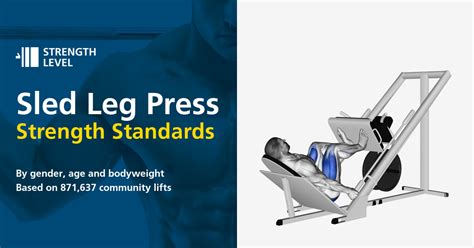 Seated Leg Press Machine Average Weight