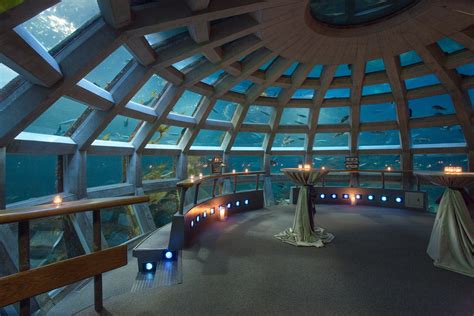 seattle aquarium event space