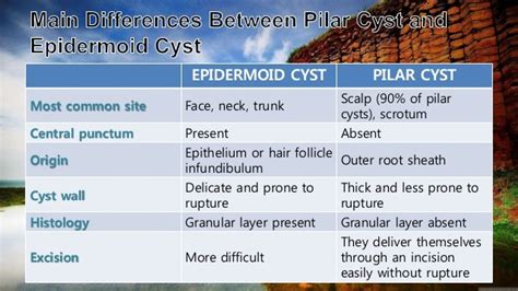 sebaceous cyst and epidermal cyst difference