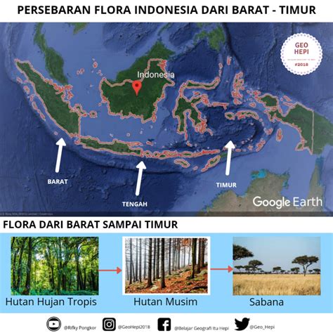 Sebaran Hutan di Indonesia dari Barat ke Timur Adalah