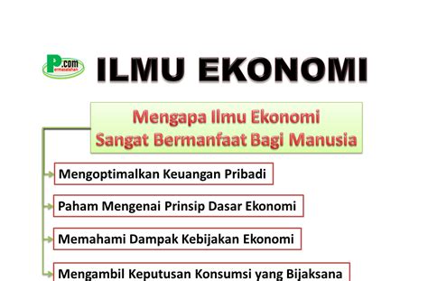 Temukan Manfaat Ekonomi Manusia yang Jarang Diketahui