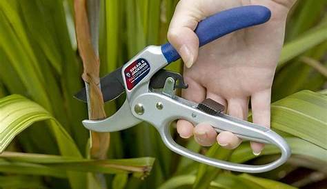 Secateurs And Shears Pruning Strong Carbon Garden Hand Pruner