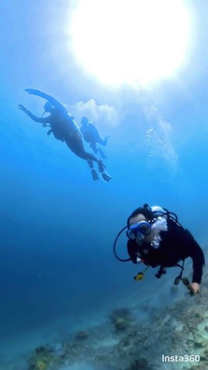 second dive exploration