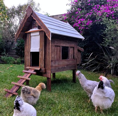 Second Hand Small Chicken Coop
