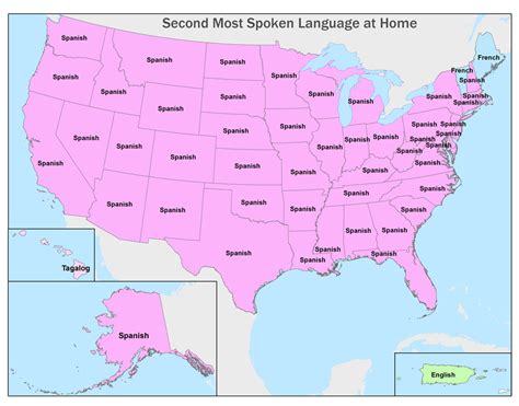 Second Language Usa