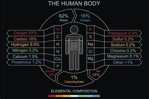 second most common element in the human body