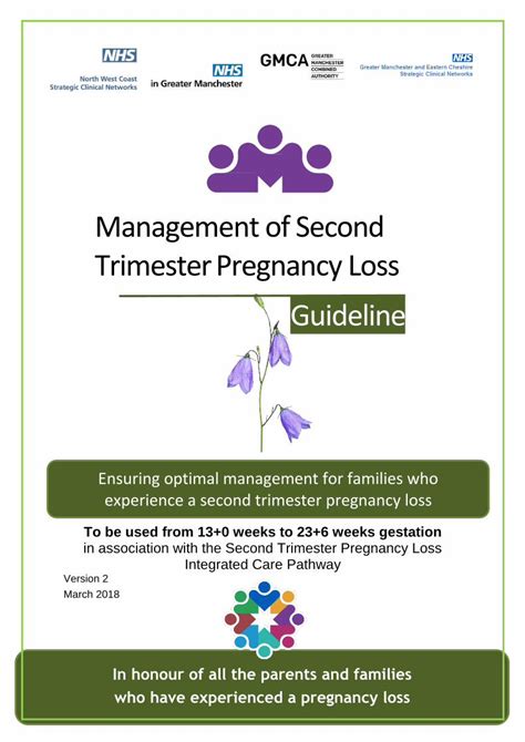 second trimester guidelines