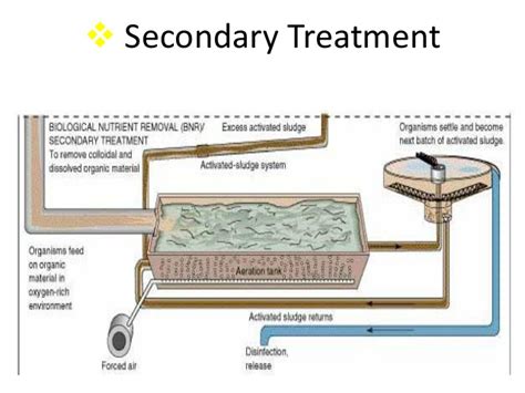 Secondary Treatment for Wastewater Methods and process Vincivilworld