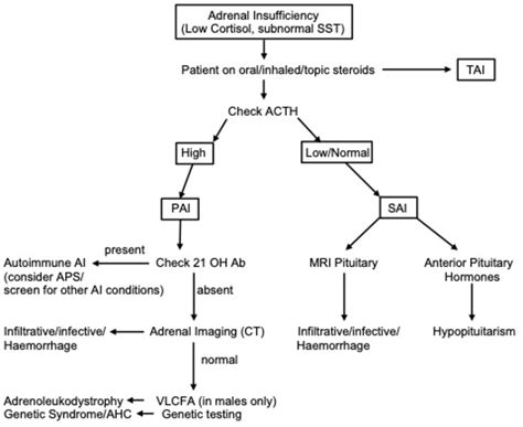 secondary adrenal insufficiency diagnosis