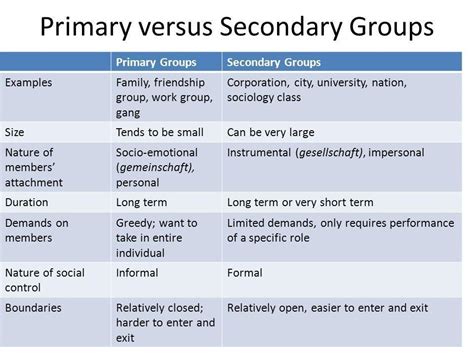 Secondary Group Examples And Functions Brainly