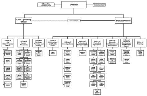 Unveiling the Secret Service Chain of Command Structure