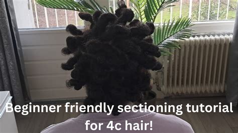 Sectioning 4C Hair