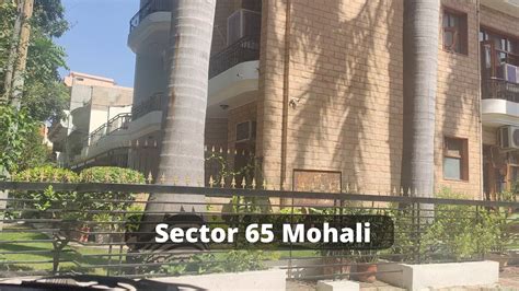 sector 65 mohali pin code