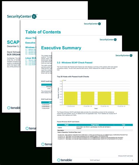 security audit report examples