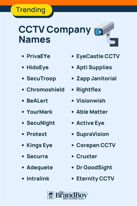 Security Camera Business Name Ideas