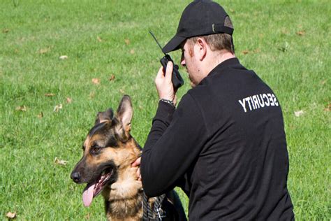 Security Dog Equipment Uk