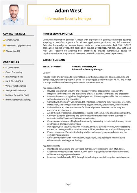 security manager cv example