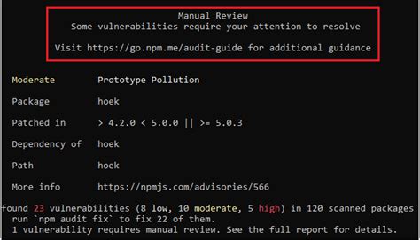Security Scan Npm