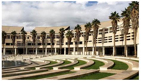 Universidad de Alicante: Diversidad de grados en todas las áreas del