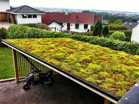 Sky Garden Sedum Roof Features On Grand Designs Sky Garden Sedum