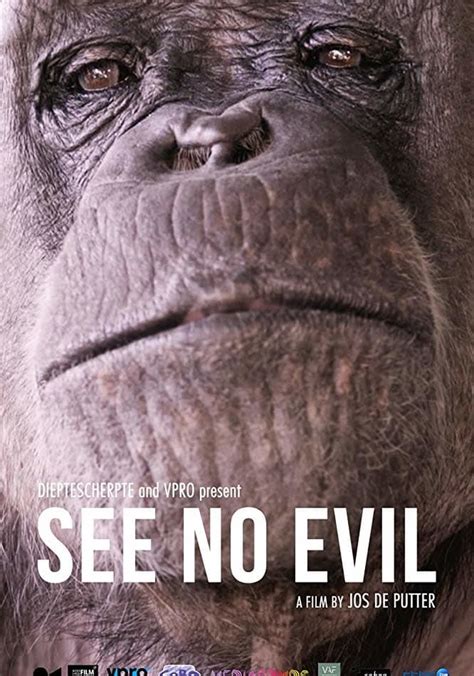 List Of See No Evil Streaming Vf Popular