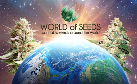 World Seed on Steam