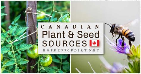 seed and plant suppliers
