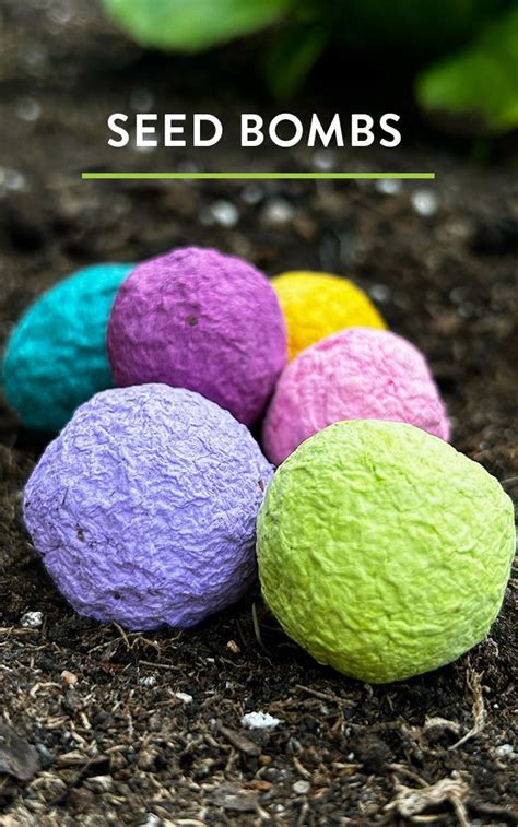 Seed Bombs From Junk Mail