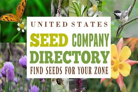 seed companies in the southeast