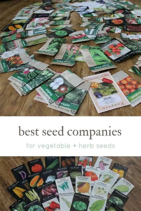 seed companies in usa