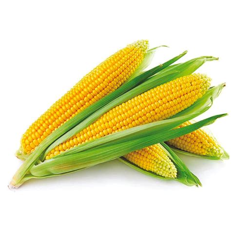 seed corn for sale near me delivery