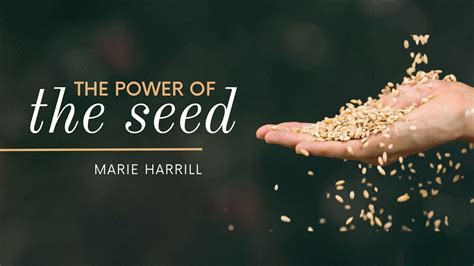 seed of power