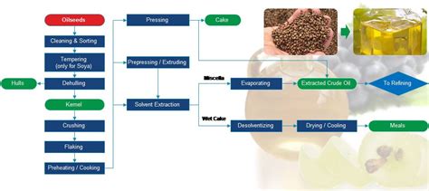 Seed Oil Extraction Methods