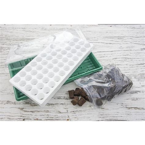 Seed Starting Kit Lowes