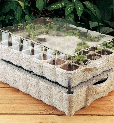 seed starting trays self watering